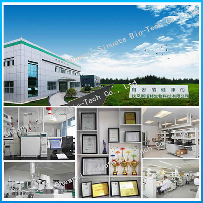 扶風斯諾特工廠 聚焦人參提取物與環保產品研發，引領綠色健康產業新趨勢