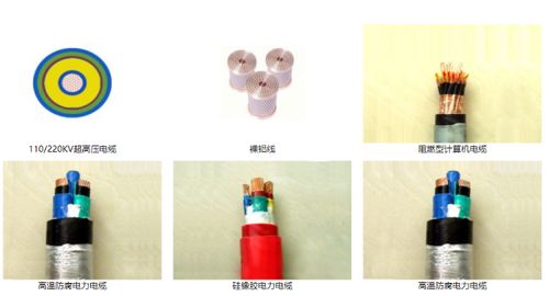 山東智造 綠色創新驚艷全球，環保產品引領未來市場